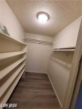 spacious closet featuring dark wood-style floors