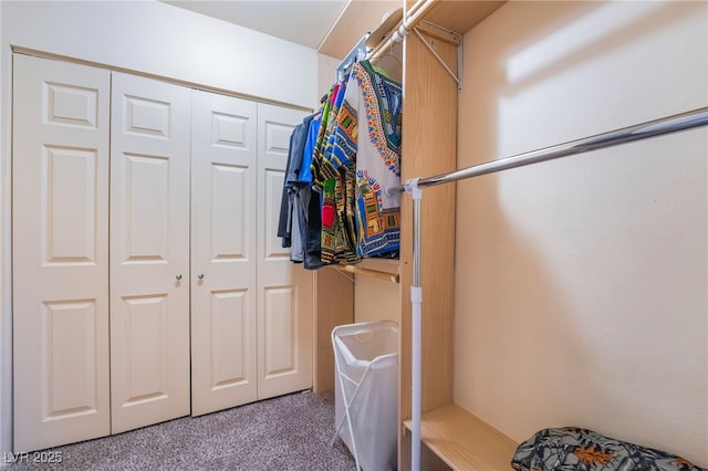 walk in closet with carpet flooring