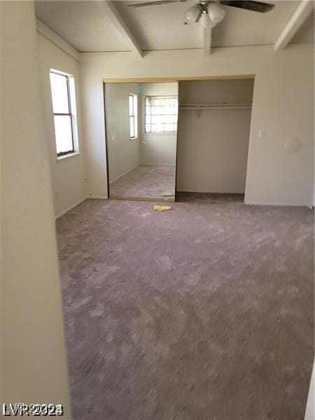 unfurnished bedroom with ceiling fan, a closet, carpet flooring, and beam ceiling