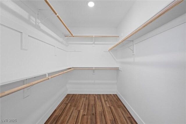 walk in closet featuring dark wood-style floors