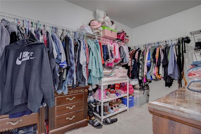 spacious closet featuring carpet flooring