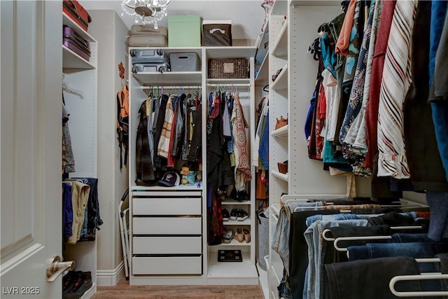 spacious closet with wood finished floors