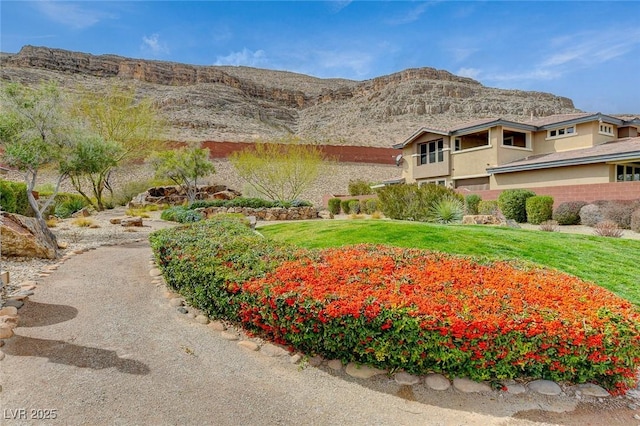 view of yard featuring a mountain view