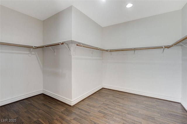 walk in closet with dark wood-type flooring