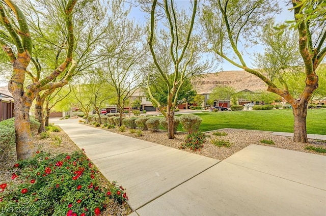 view of community featuring a yard