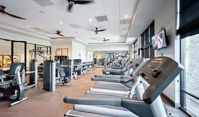 exercise room with carpet floors and ceiling fan