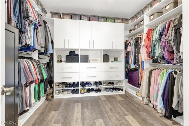 walk in closet with light wood-style floors