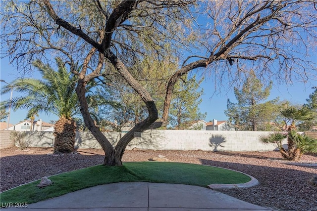 view of yard with a fenced backyard and a patio