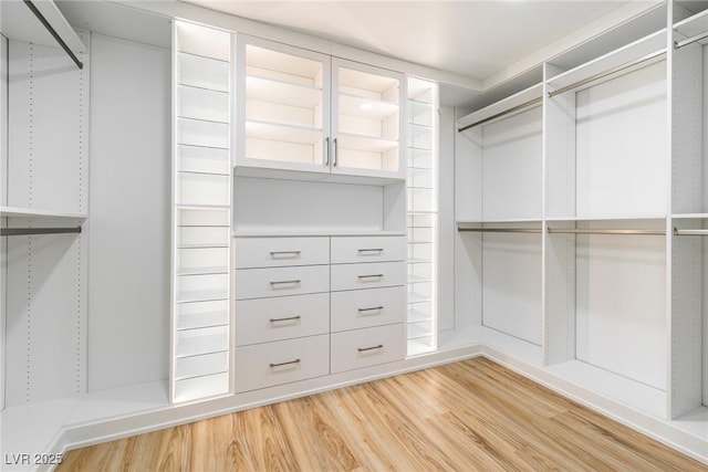 spacious closet with light wood-style floors