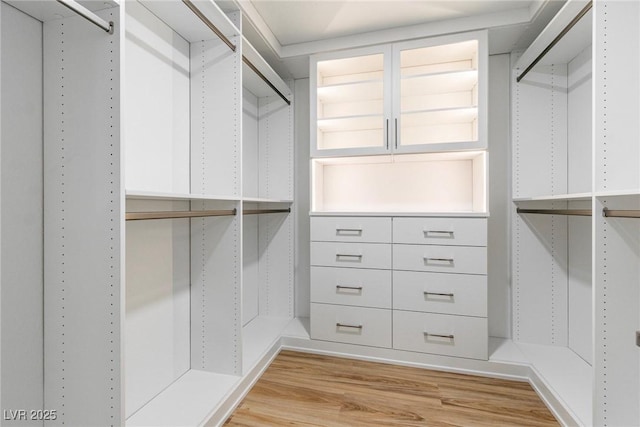 spacious closet featuring light wood-style flooring