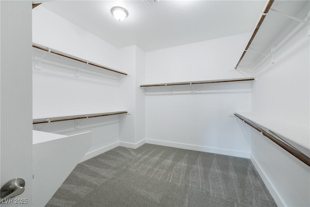 walk in closet with carpet floors