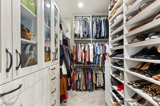 walk in closet with carpet