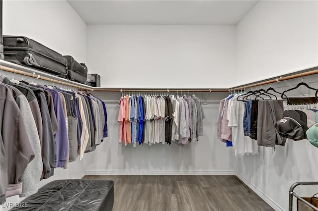 spacious closet with wood finished floors