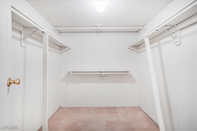 spacious closet with carpet floors