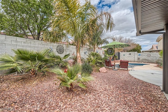 view of yard with a fenced in pool, a patio, and a fenced backyard