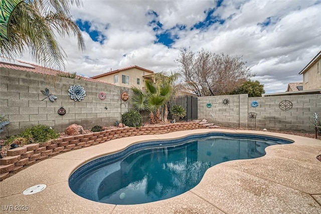 view of swimming pool with a fenced backyard