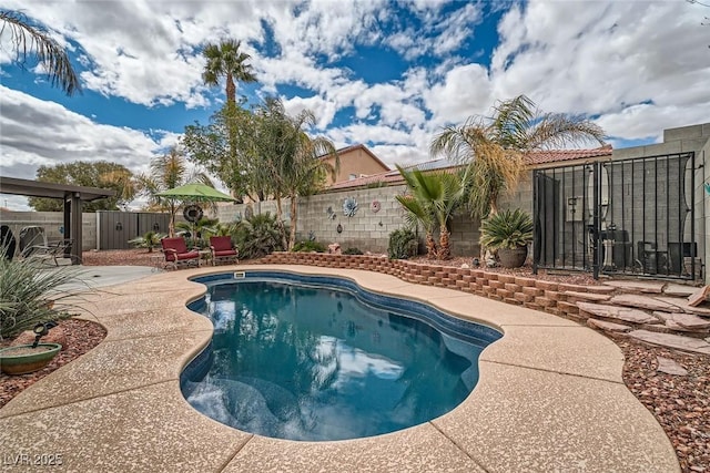 view of swimming pool with a fenced in pool, a fenced backyard, and a patio area