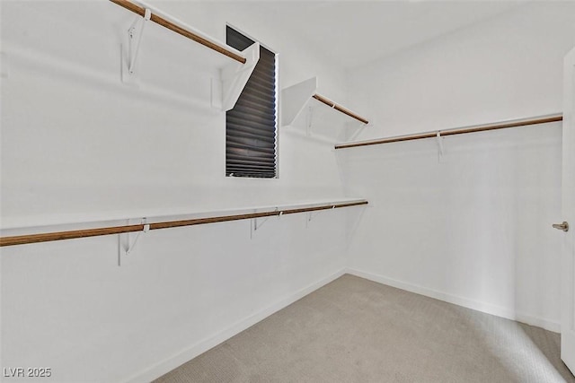 walk in closet featuring light colored carpet