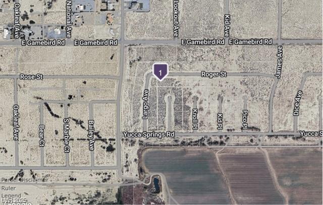 4081 E Roger St, Pahrump NV, 89048 land for sale