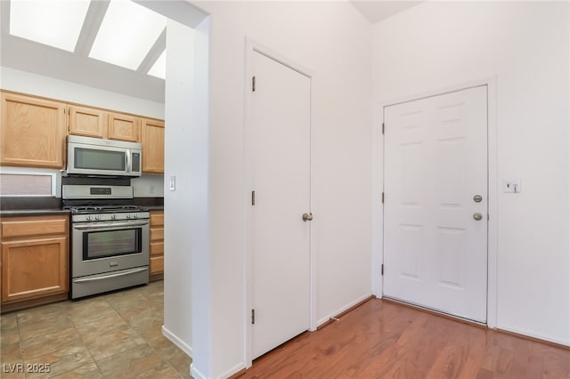 kitchen featuring dark countertops, light wood-style floors, and stainless steel appliances