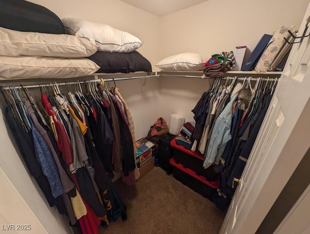 spacious closet with carpet