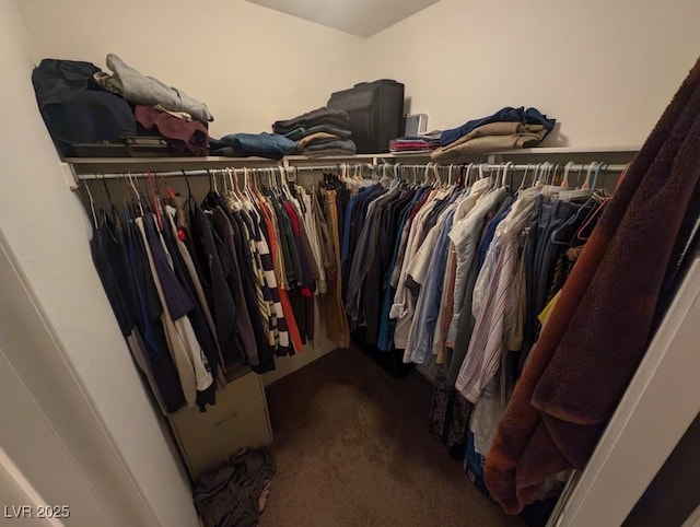 spacious closet with carpet floors