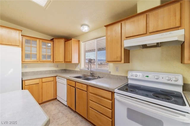 kitchen featuring under cabinet range hood, white appliances, a sink, light countertops, and glass insert cabinets