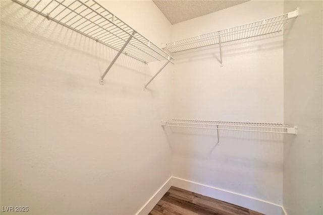 walk in closet featuring wood finished floors