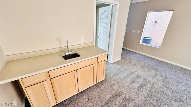 interior space featuring a sink, baseboards, and carpet flooring