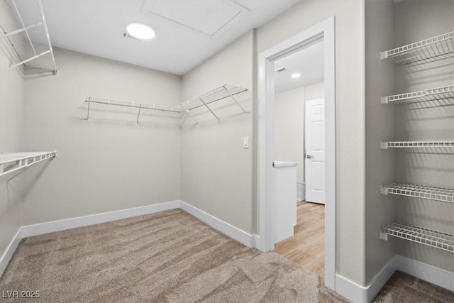 walk in closet featuring carpet flooring