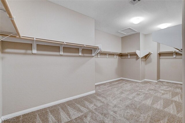 walk in closet featuring carpet floors, visible vents, and attic access