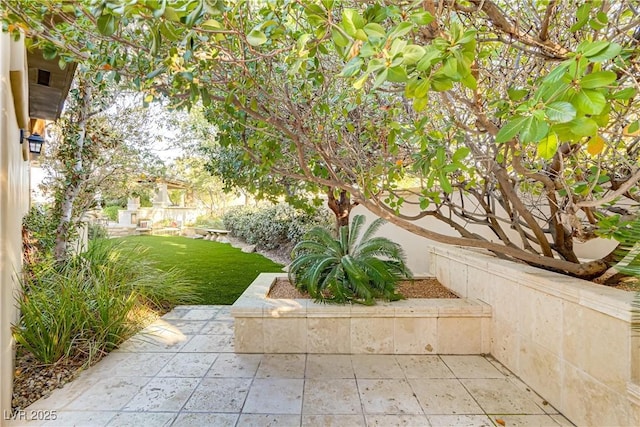 view of yard featuring a patio area