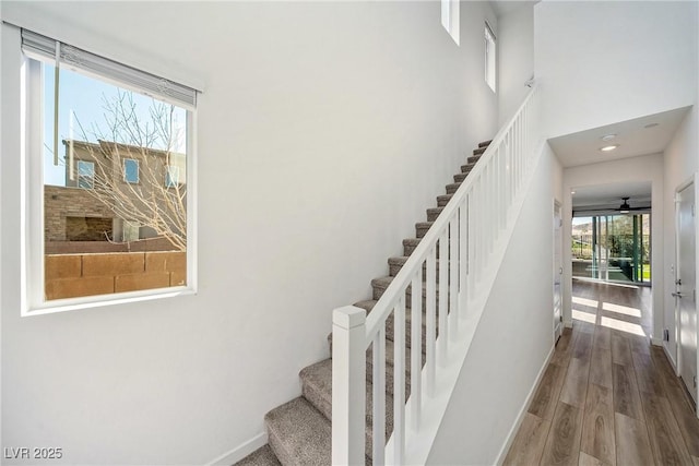 staircase with a towering ceiling, baseboards, and wood finished floors