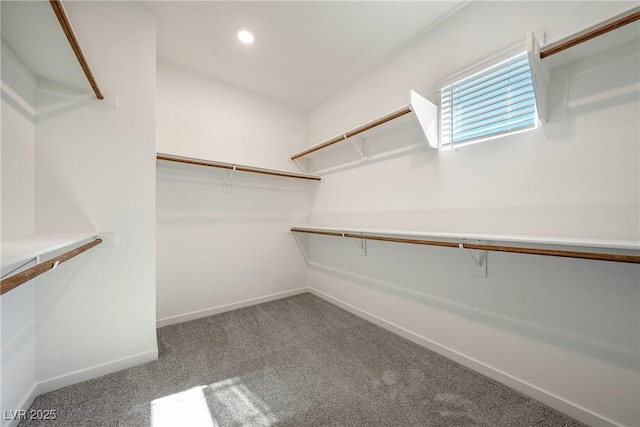 spacious closet with carpet flooring