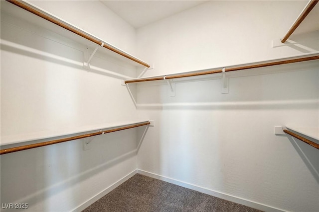 spacious closet with carpet