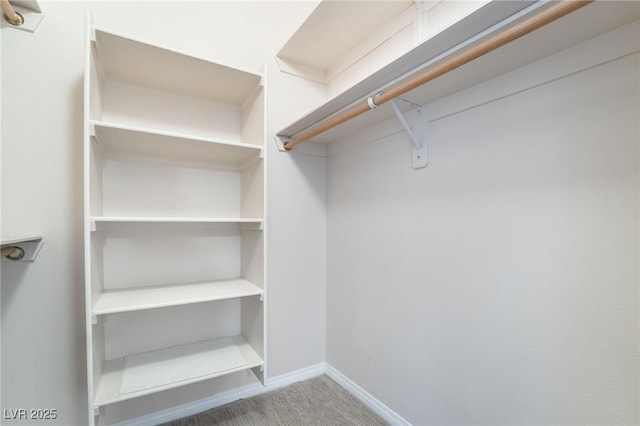 spacious closet with carpet flooring