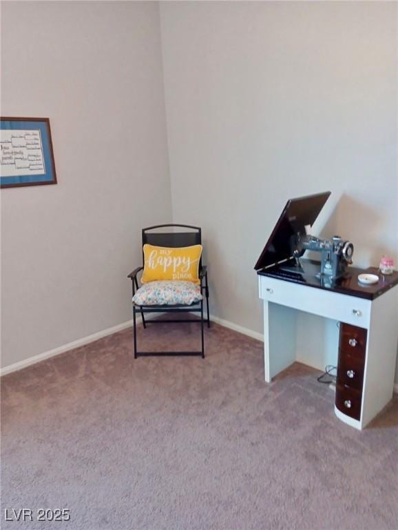 living area with carpet and baseboards