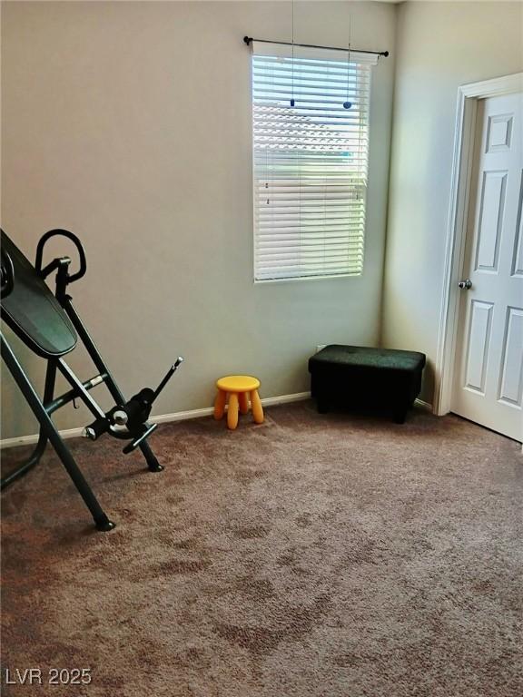 workout room featuring baseboards and carpet flooring