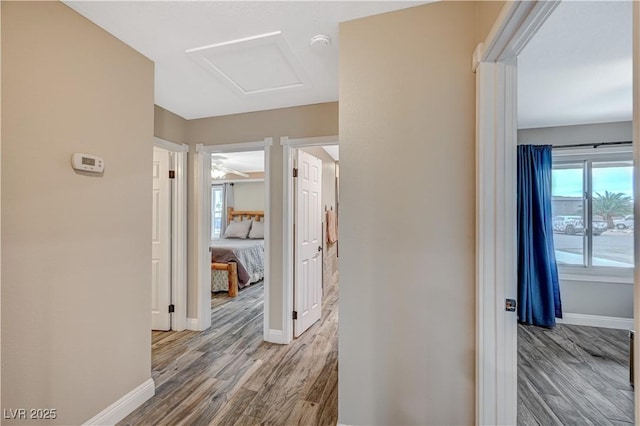 hallway with attic access, baseboards, and wood finished floors