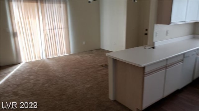 kitchen with carpet and light countertops