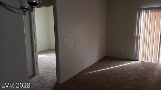 spare room with carpet