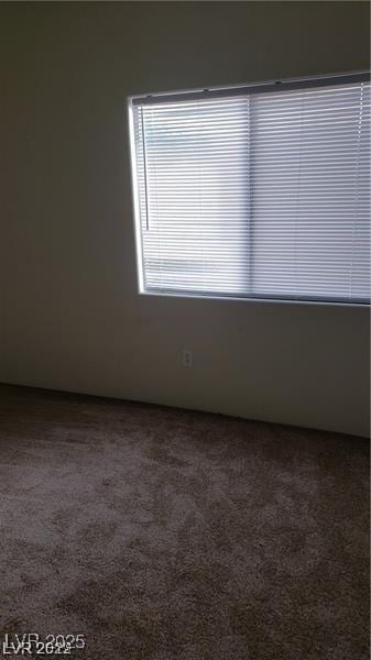 empty room featuring carpet