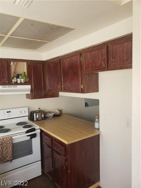 kitchen with reddish brown cabinets, electric stove, light countertops, under cabinet range hood, and open shelves