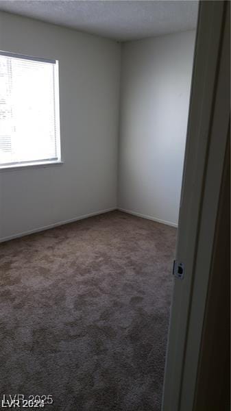 unfurnished room featuring carpet floors