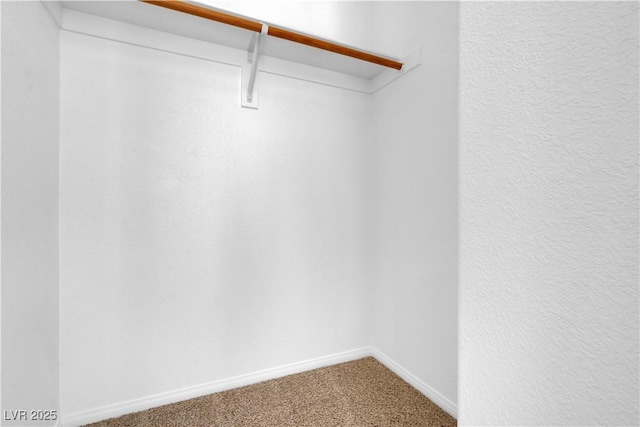 walk in closet featuring carpet flooring