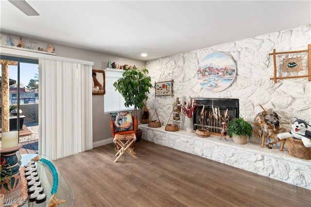 living area featuring a fireplace and wood finished floors