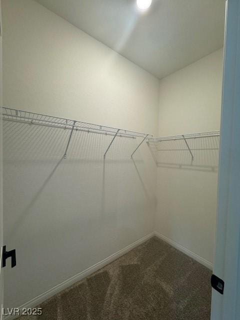 spacious closet featuring carpet