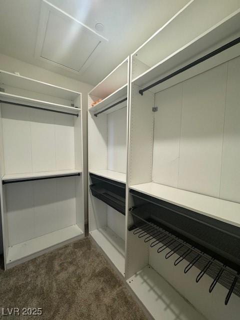 spacious closet with carpet flooring