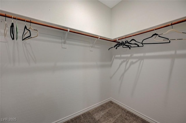 spacious closet with carpet floors