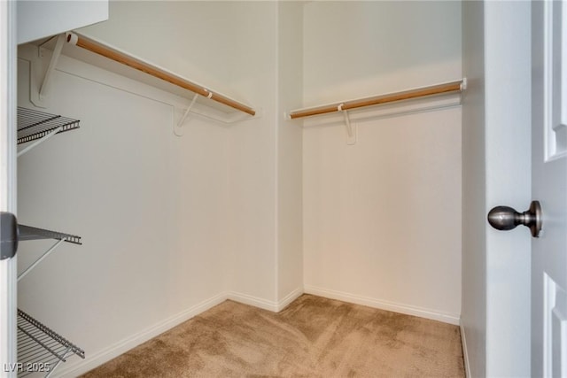 walk in closet with light colored carpet